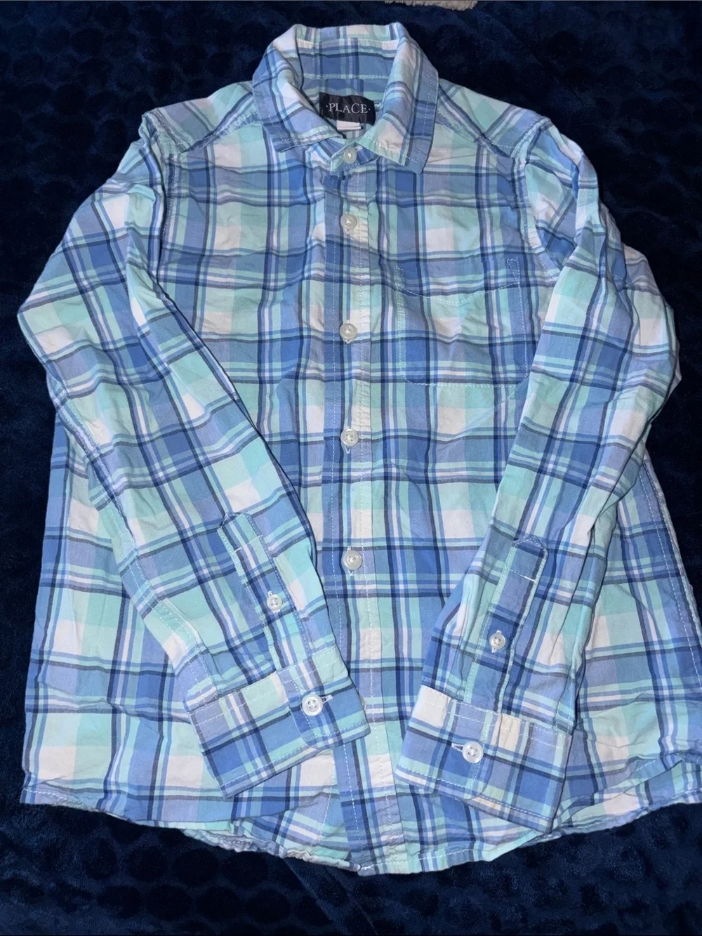 The Children's Place Light Blue and White Plaid Button-Down Shirt